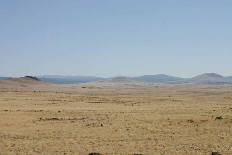 Cougon Plains