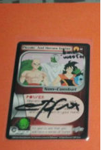 Piccolo and Heroes Gather